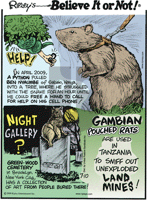 Ripley's Believe It or Not on Friday July 10, 2009 Comic Strip