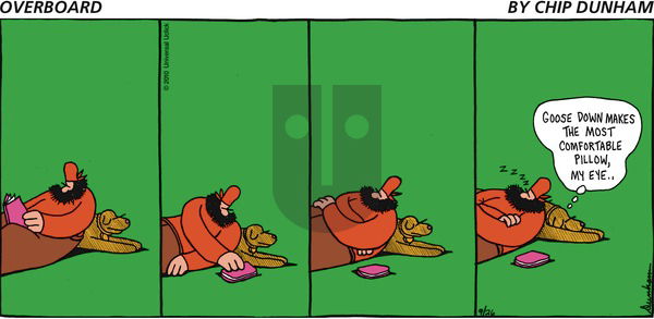 Overboard on Sunday September 26, 2010 Comic Strip