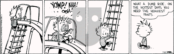 Calvin and Hobbes - Friday July 23, 1993 Comic Strip