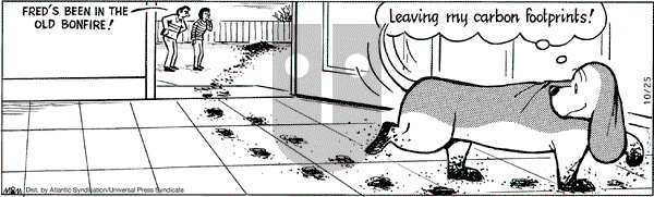 Fred Basset on Saturday October 25, 2008 Comic Strip