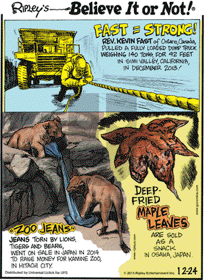 Ripley's Believe It or Not on Wednesday December 24, 2014 Comic Strip