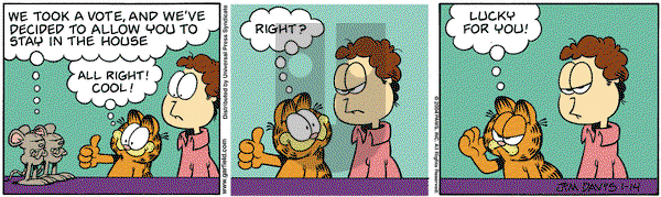 Garfield on Sunday June 27, 2004 Comic Strip