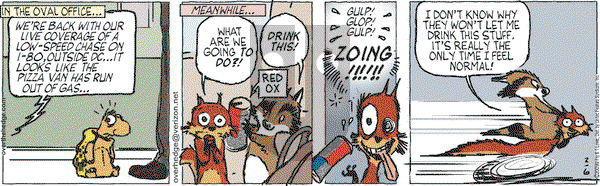 Over the Hedge on Friday February 6, 2009 Comic Strip