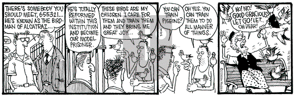 Monty on Saturday September 2, 2006 Comic Strip