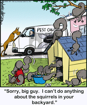 Marmaduke on Tuesday August 23, 2016 Comic Strip