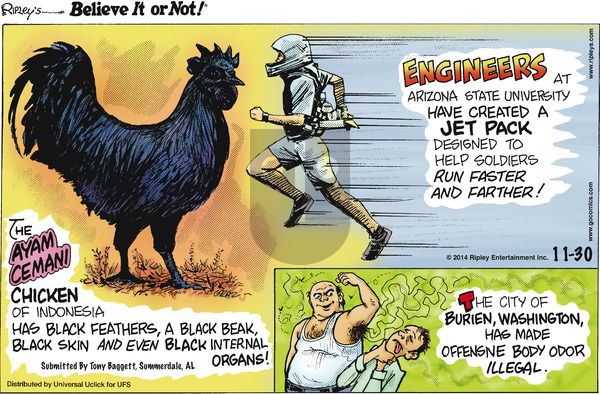 Ripley's Believe It or Not on Sunday November 30, 2014 Comic Strip