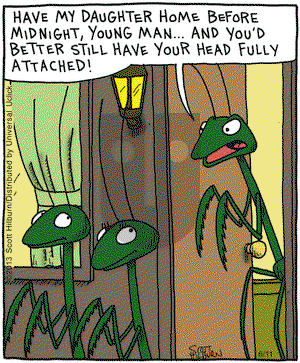 The Argyle Sweater on Tuesday June 11, 2013 Comic Strip