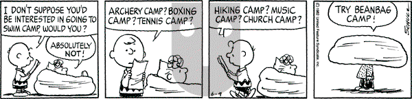 Peanuts - Wednesday June 9, 1982 Comic Strip
