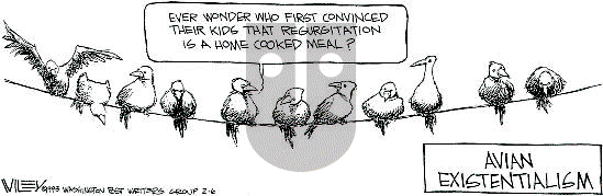 Non Sequitur on Saturday February 6, 1993 Comic Strip