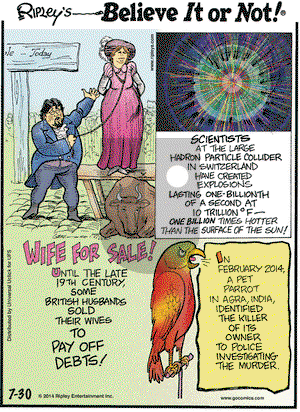 Ripley's Believe It or Not on Wednesday July 30, 2014 Comic Strip
