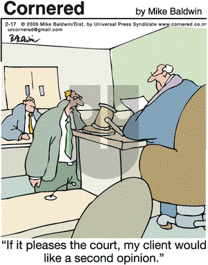 Cornered on Tuesday February 17, 2009 Comic Strip