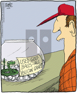 In the Bleachers on Wednesday December 19, 2012 Comic Strip