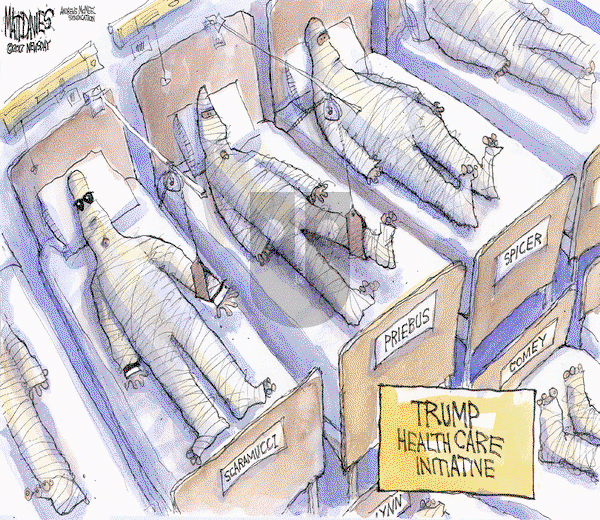 Matt Davies - Tuesday August 1, 2017 Comic Strip