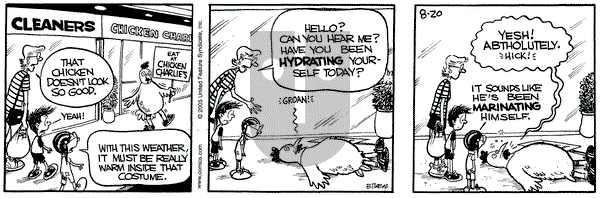 Grand Avenue on Saturday August 20, 2005 Comic Strip