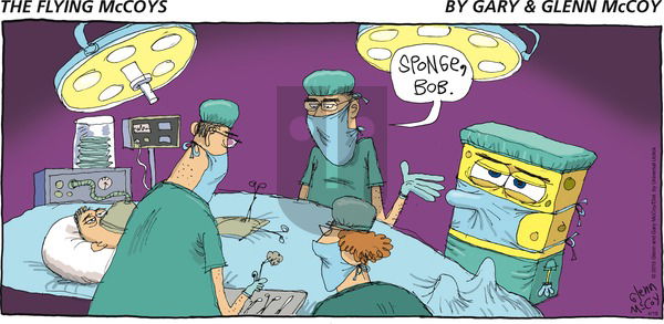 The Flying McCoys on Sunday April 19, 2015 Comic Strip