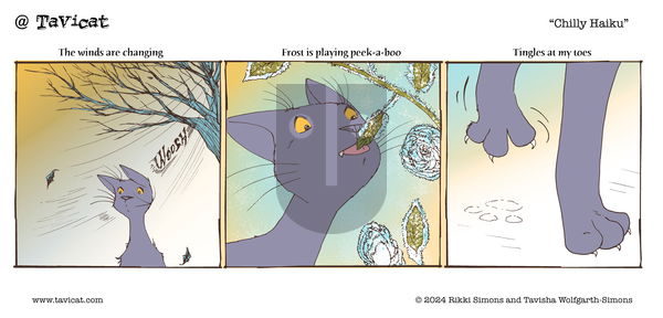 @Tavicat on Wednesday December 4, 2024 Comic Strip