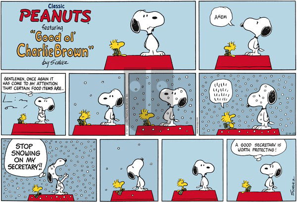 Peanuts on Sunday December 14, 2003 Comic Strip