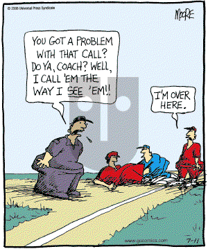 In the Bleachers - Friday July 11, 2008 Comic Strip