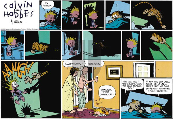 Calvin and Hobbes - Sunday March 19, 2023 Comic Strip