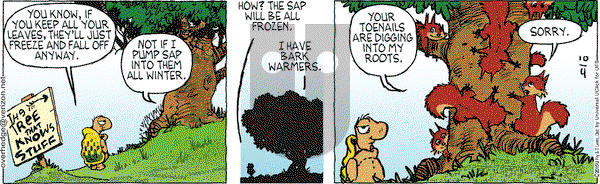 Over the Hedge on Tuesday October 4, 2016 Comic Strip