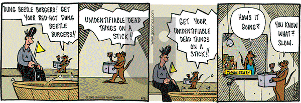 Overboard on Saturday June 21, 2008 Comic Strip