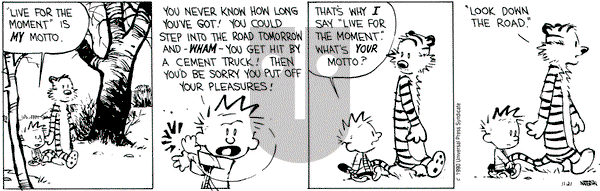 Calvin and Hobbes on Wednesday November 21, 1990 Comic Strip