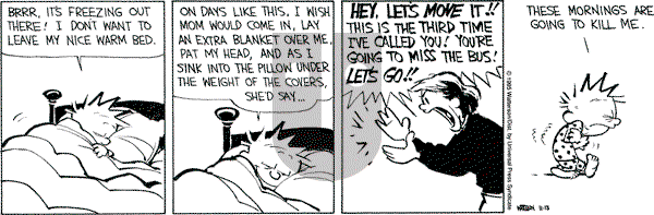 Calvin and Hobbes - Monday November 13, 1995 Comic Strip