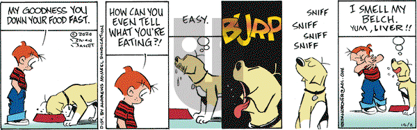 Red and Rover on Friday October 2, 2020 Comic Strip