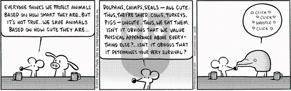 Pearls Before Swine on Friday November 25, 2005 Comic Strip