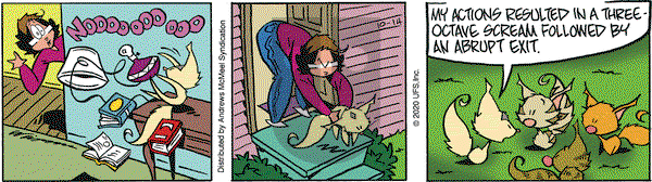 Rose is Rose on Wednesday October 14, 2020 Comic Strip