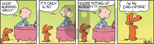 Drabble - Tuesday June 22, 2021 Comic Strip