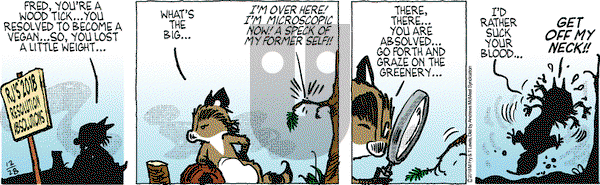 Over the Hedge on Friday December 28, 2018 Comic Strip