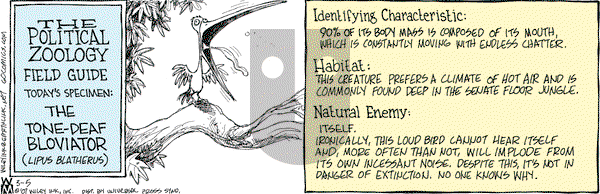 Non Sequitur on Monday March 5, 2007 Comic Strip