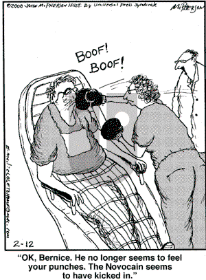 Close to Home on Tuesday February 12, 2008 Comic Strip