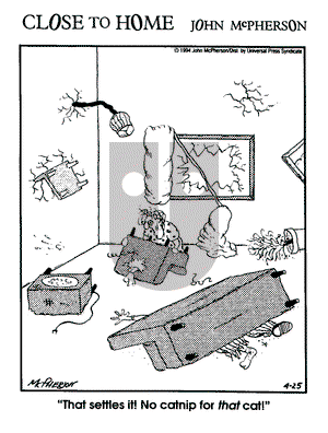 Close to Home on Monday April 25, 1994 Comic Strip