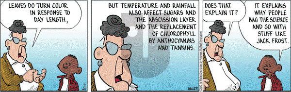 Frazz on Thursday September 24, 2020 Comic Strip