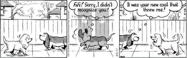Fred Basset on Tuesday April 17, 2007 Comic Strip
