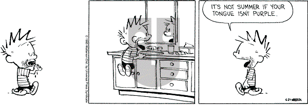 Calvin and Hobbes - Tuesday June 27, 1995 Comic Strip