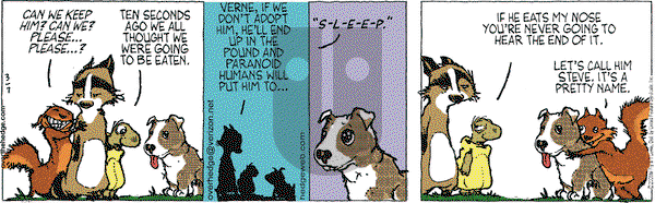 Over the Hedge on Friday March 7, 2008 Comic Strip