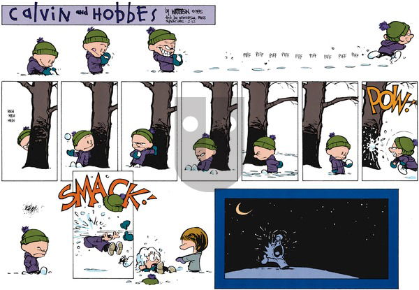Calvin and Hobbes on Sunday February 12, 1995 Comic Strip