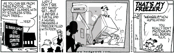 Over the Hedge on Friday June 23, 2000 Comic Strip