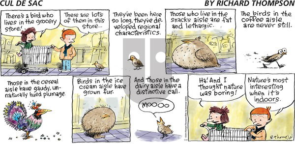 Cul de Sac on Sunday January 31, 2010 Comic Strip