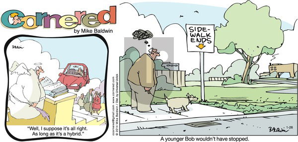 Cornered on Sunday January 26, 2014 Comic Strip