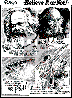 Ripley's Believe It or Not on Wednesday March 8, 2006 Comic Strip