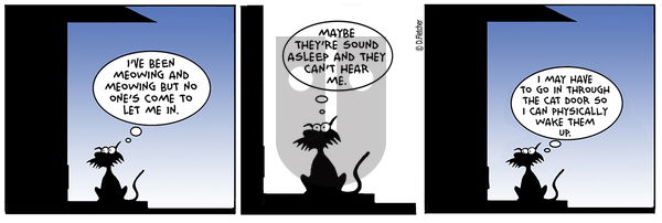 Crumb - Thursday November 14, 2019 Comic Strip