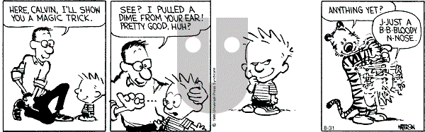 Calvin and Hobbes - Saturday August 31, 1991 Comic Strip