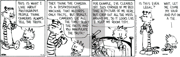 Calvin and Hobbes - Thursday September 17, 1992 Comic Strip
