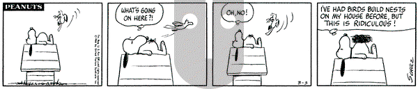 Peanuts on Thursday March 3, 1966 Comic Strip