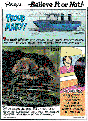 Ripley's Believe It or Not on Saturday December 21, 2013 Comic Strip