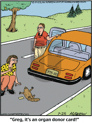 Close to Home on Tuesday July 25, 2023 Comic Strip